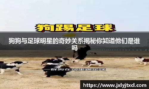 乐动LDSports官网